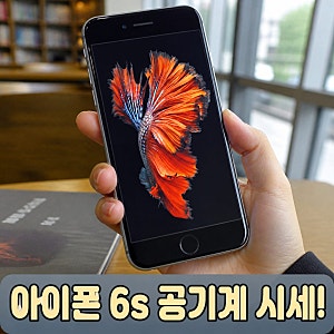 애플 아이폰 6s 그레이 16GB 공기계 무음카메라 순정폰 시세 체크포인트