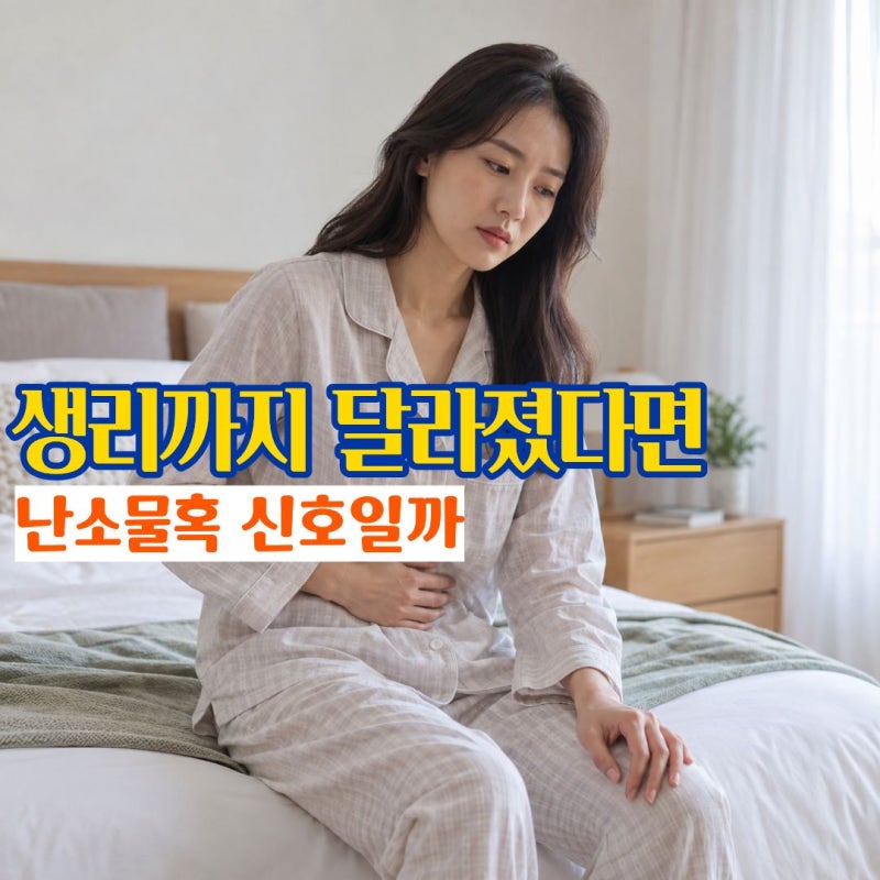 난소물혹증상 아랫배가 묵직하고 생리가 달라질 때 난소물혹원인과 수술 기준
