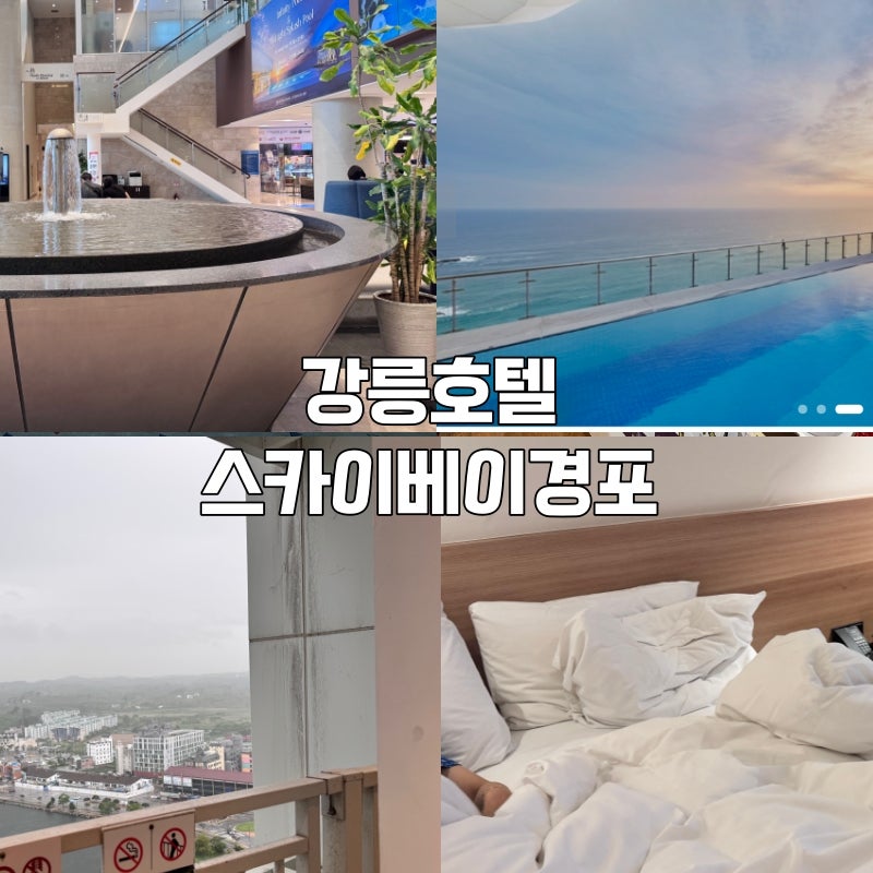 강릉 스카이베이호텔 경포 5성급 호텔 바다뷰 호텔 레이크뷰 디럭스 후기 인피니티풀