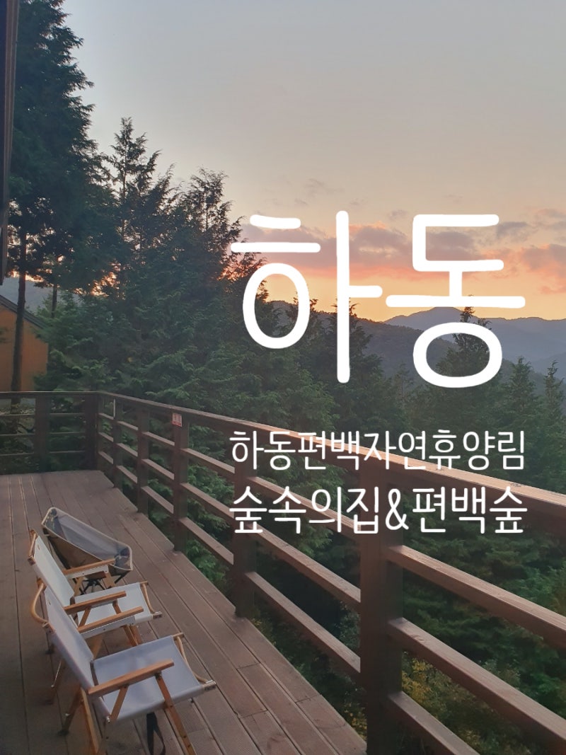 하동 편백자연휴양림(가을 여행지, 편백나무 숲에서 휴식)
