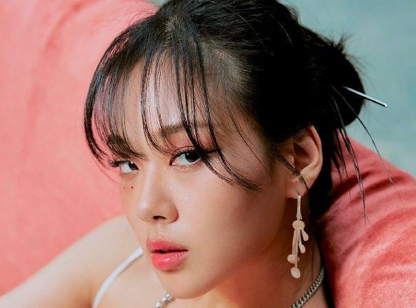 비비(BIBI) 알아보기