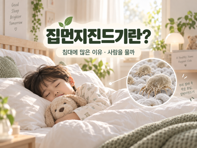 집먼지진드기란? 사람을 물까｜침대에 많은 이유와 좋아하는 환경