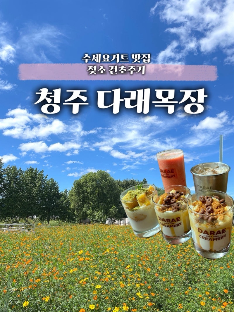 아이와 가볼만한 곳 내수 다래목장 수제 요거트 치즈 카페, 젖소 건초주기 체험