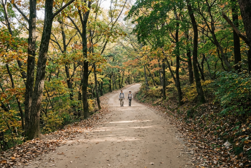 북한산 우이령길 가을 걷기, 우이에서 교현까지 3.5km 흙길 제대로 걷는 법