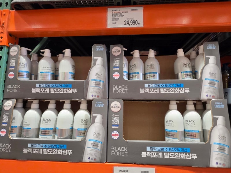 블랙포레 루트파워 딥클린 샴푸 솔직 후기 대다모1등 코스트코추천템