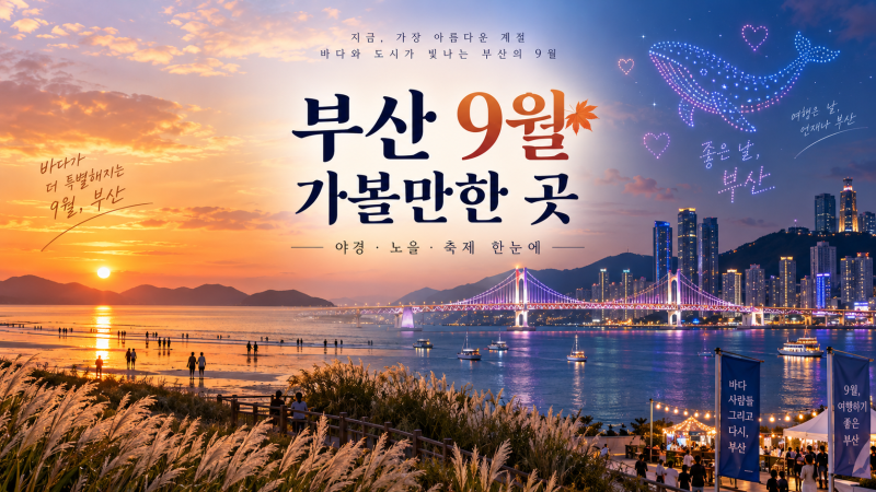 부산 9월 가볼만한곳 주말에 가기 좋은 가을 축제·야경 6곳