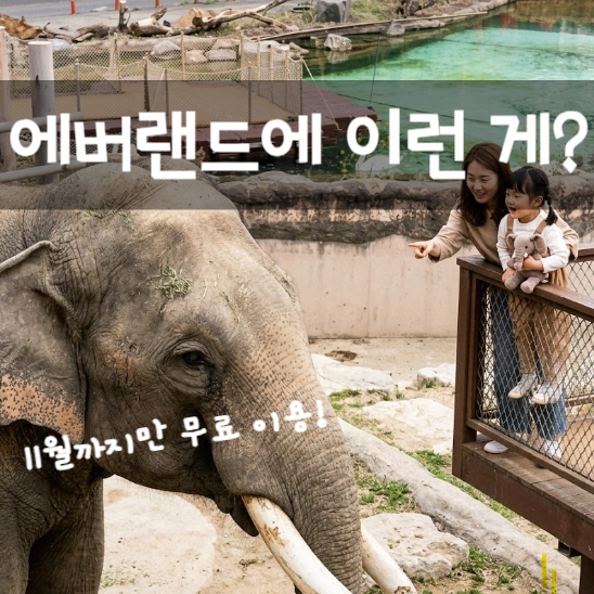 에버랜드 와일드 사바나 9월 12일 오픈! 사파리를 걸어서 본다고? 무료 이용방법 총정리