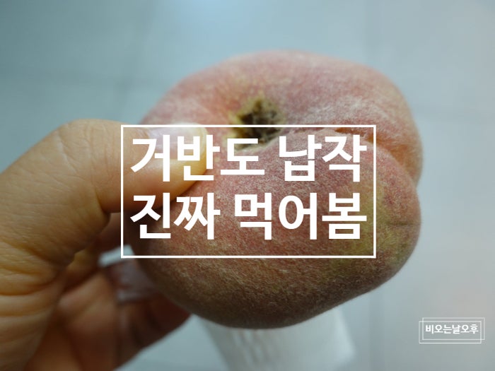 거반도 납작복숭아, 이번엔 제대로 샀습니다. (천반도 실패담 후속편)