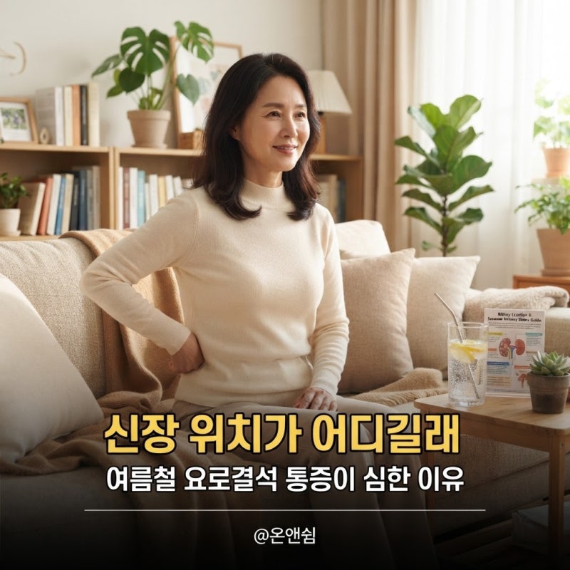 요로결석 신장 위치 어디? 여름철 옆구리 통증이면 확인하세요