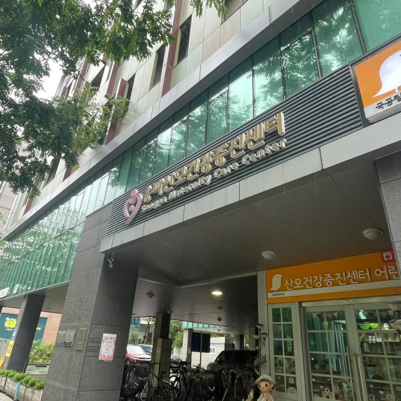 [임신 5주] 임신확인서 발급 및 임산부 뱃지 받기(송파구산모건강증진센터)