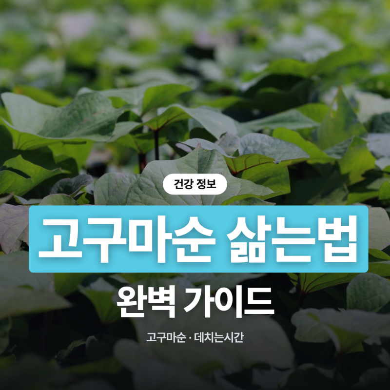 고구마순 데치는 시간과 삶는법, 껍질 쉽게 벗기는 꿀팁부터 보관법까지