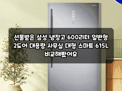 선물받은 삼성 냉장고 600리터 일반형 2도어 대용량 사무실 대형 스마트 615L 비교해봤어요