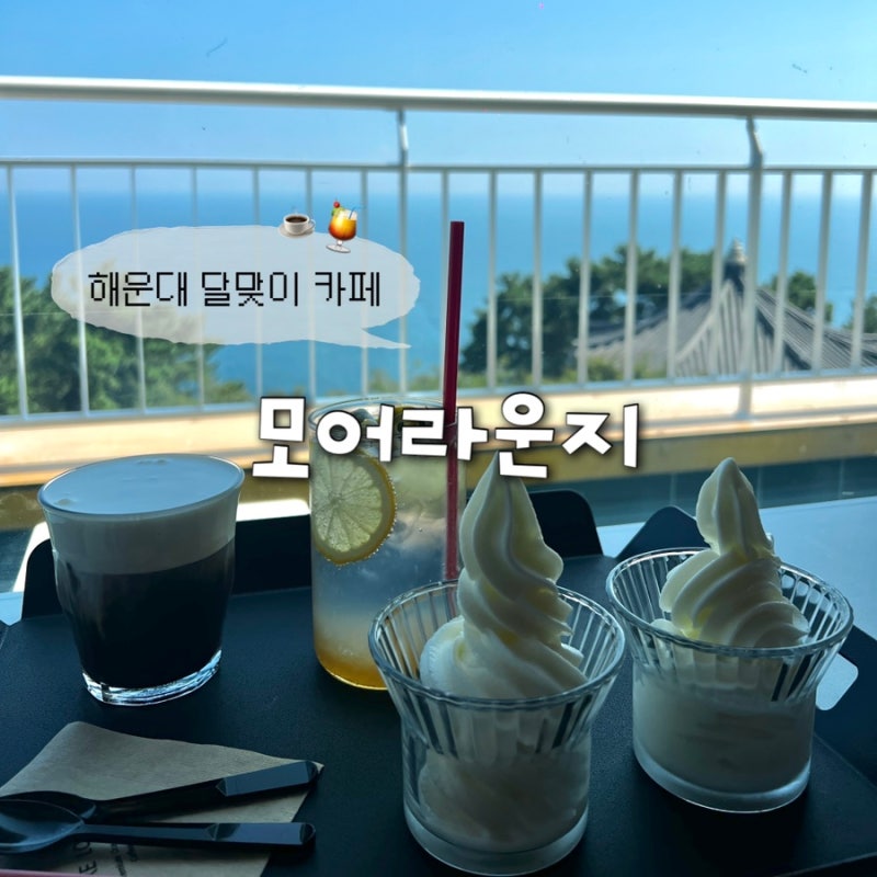 해운대 달맞이 카페 모어라운지, 오션뷰 반려동물 동반 가능