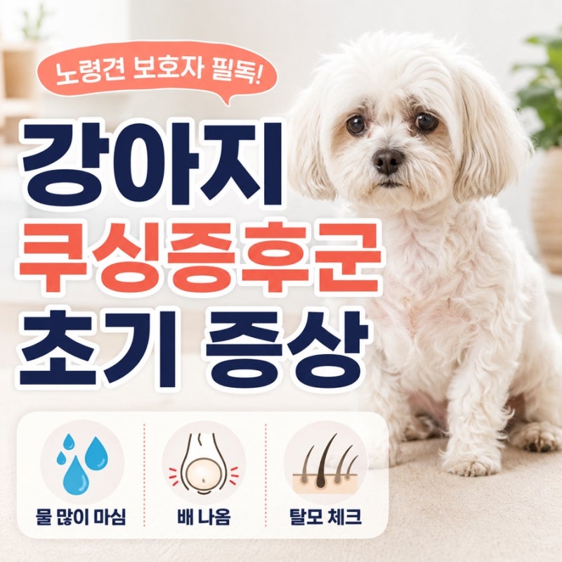 강아지 쿠싱증후군 초기 증상, 물 많이 마시고 배 나오면 의심할까?