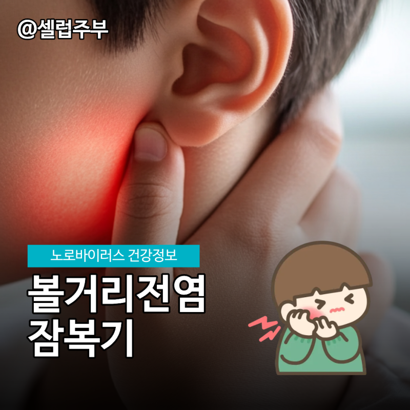 볼거리전염 무증상 전파의 진실!