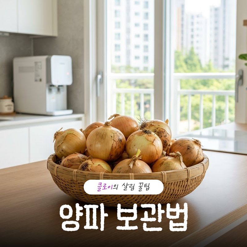 양파 보관법 감자 옆에 두면 안 되는 이유와 상태별 정리
