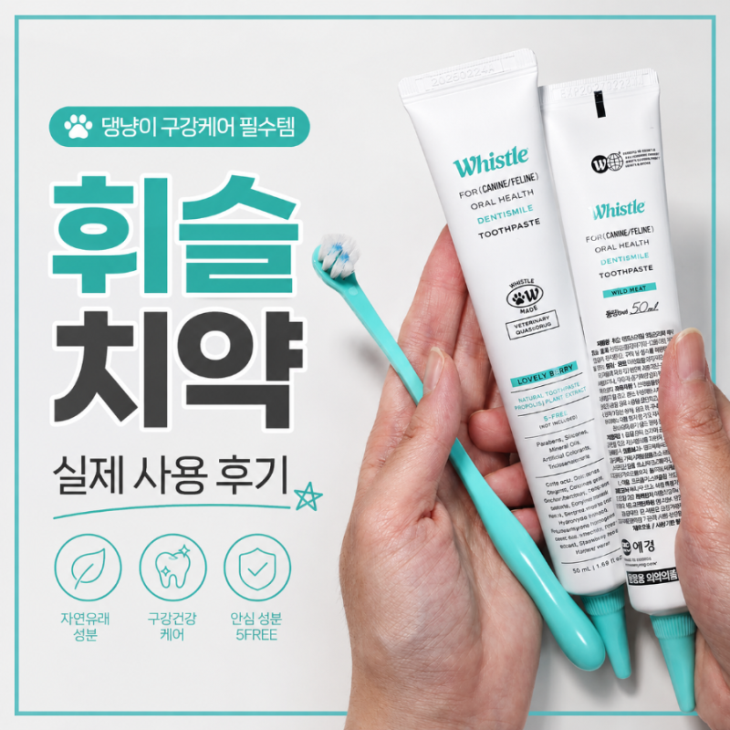 반려동물 치아건강 필수템 강아지칫솔 치약 추천 휘슬 덴티스마일 치약 2종 펫칫솔 사용후기