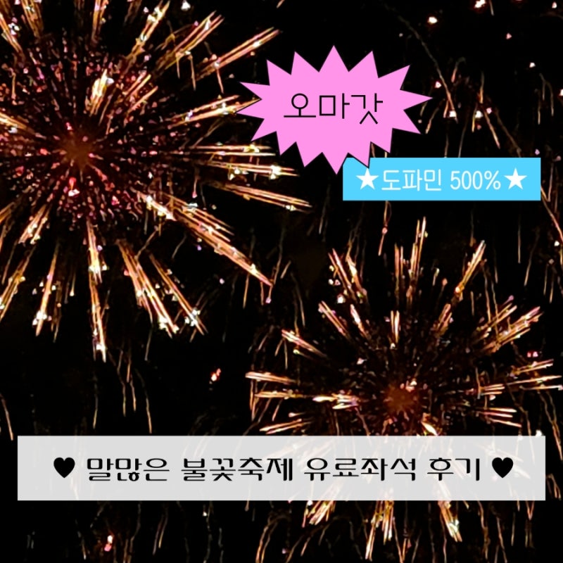 2026 여의도 불꽃축제 | 노들섬 오렌지플레이 존 1구역 1인 11만원 유료좌석 솔직 후기