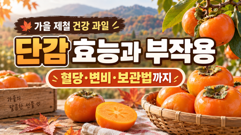 [가을 건강정보] 단감 효능과 부작용 총정리｜칼로리·혈당·변비·보관법까지