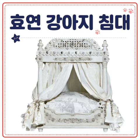 효연 강아지 침대. 비싸게 샀다는 데 대체 얼마? 전참시 전지적 참견시점 럭셔리 반려견 침대