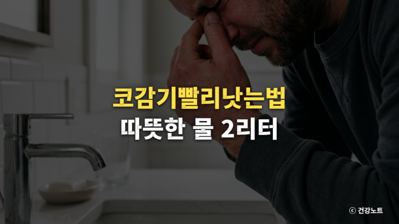 코감기빨리낫는법, 따뜻한 물 2리터 마셔도 코가 더 막히는 이유