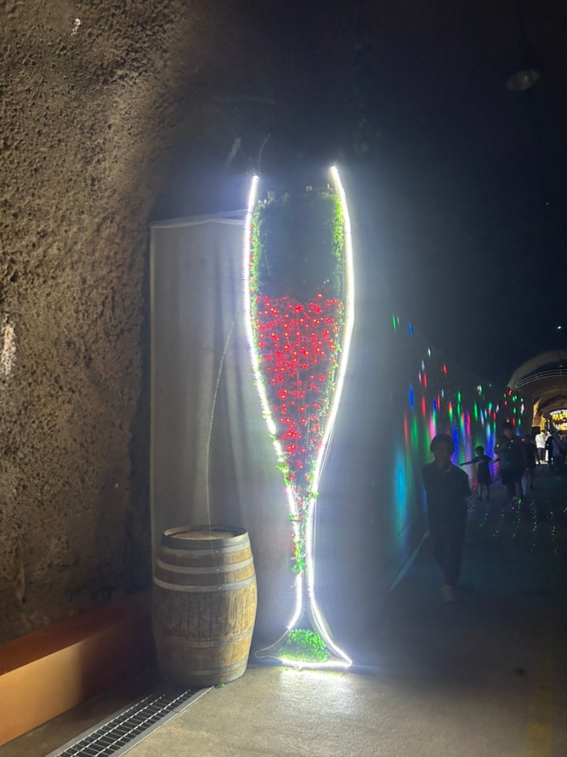 (Travel) #1 무주 머루와인동굴