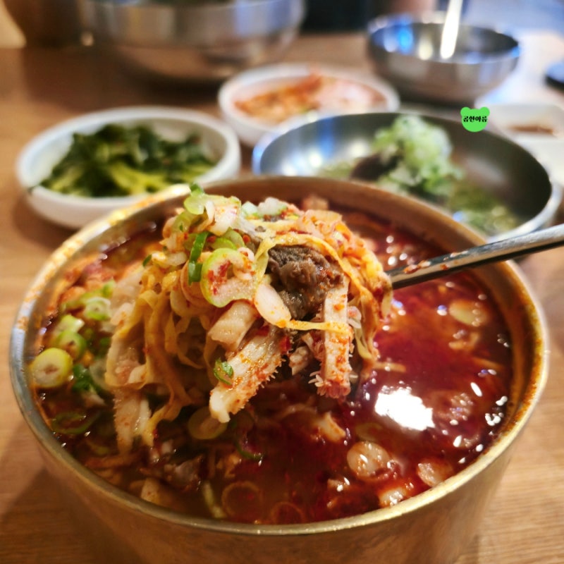 생활의 달인 파주 냉면 맛집 모아냉면 물냉면 양곰탕 아롱사태 수육 주차
