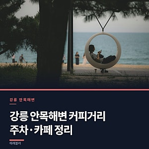 강릉 안목해변 커피거리 주차 꿀팁, 카페 이용 정보 정리