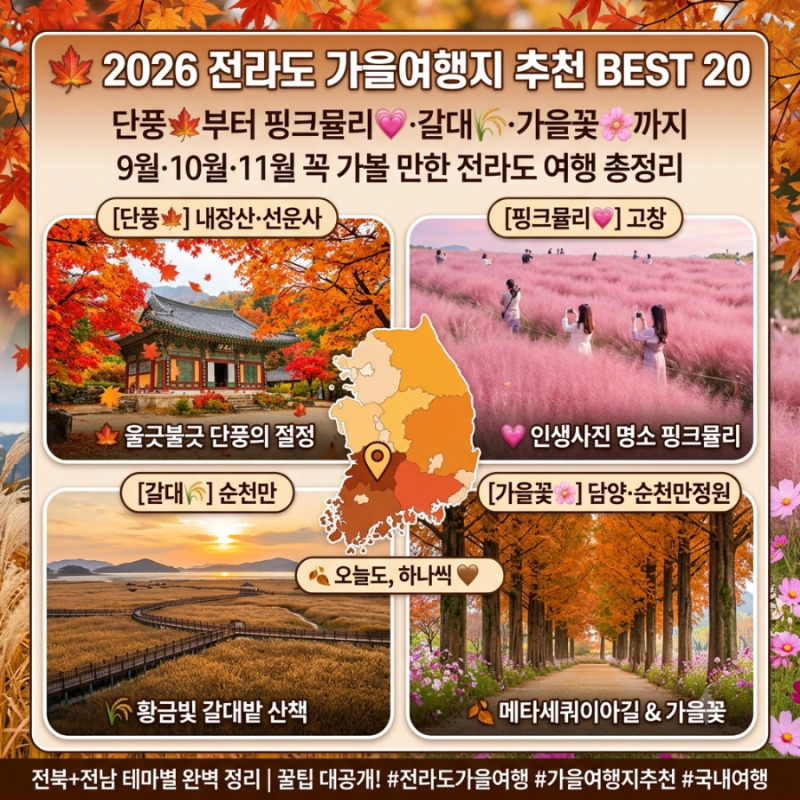2026 전라도 가을여행지 추천 BEST 20 단풍부터 핑크뮬리·갈대·가을꽃까지 9월·10월·11월 꼭 가....