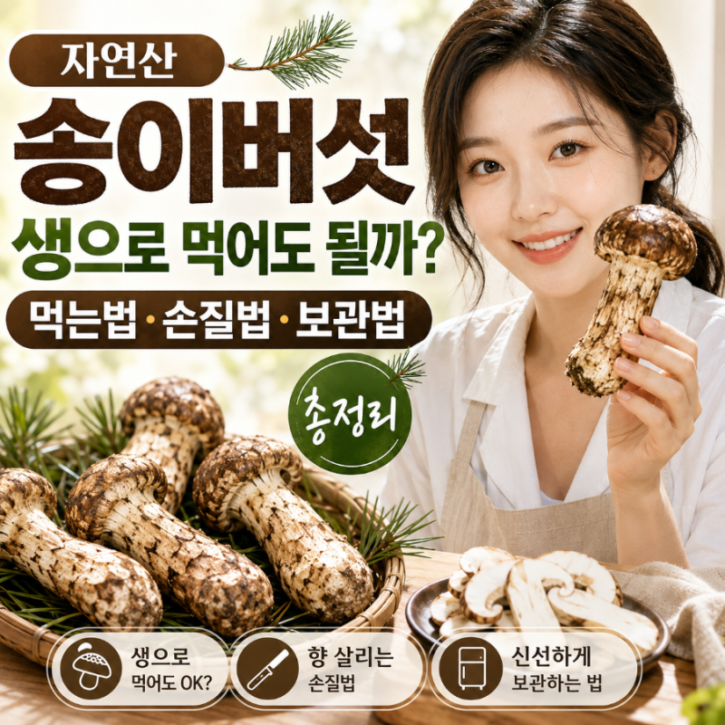 자연산 송이버섯 생으로 먹어도 될까? 먹는법·손질법·보관법 총정리