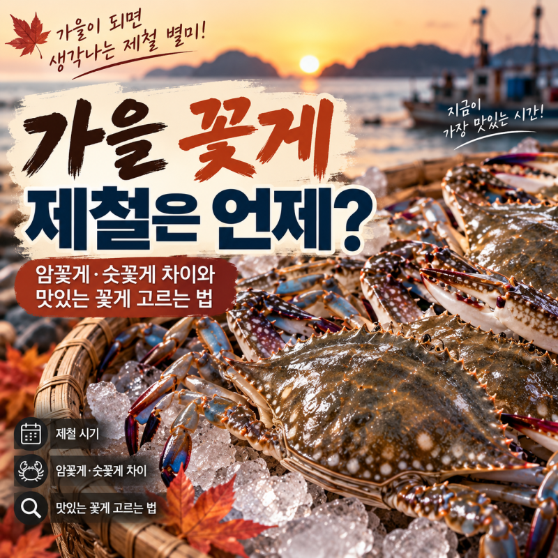 가을 꽃게 제철은 언제? 암꽃게·숫꽃게 차이와 맛있는 꽃게 고르는 법