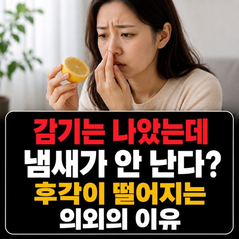 감기는 나았는데 냄새가 안 난다면? 후각이 떨어지는 의외의 이유