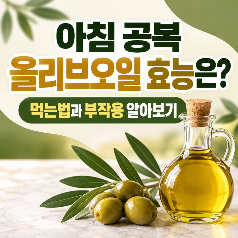아침 공복 올리브오일 효능은? 먹는법과 부작용 알아보기