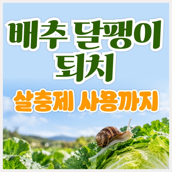 배추달팽이 퇴치 방법 총정리｜퇴치법부터 살충제 사용까지