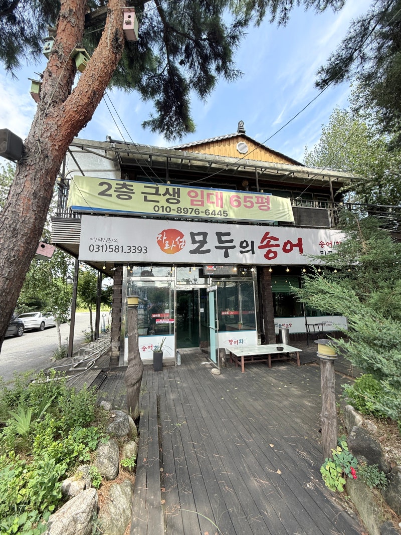 [가평 자라섬 맛집] 자라섬 모두의송어, 찰진 송어회 포장 할인과 매운탕까지 내돈내산 솔직....