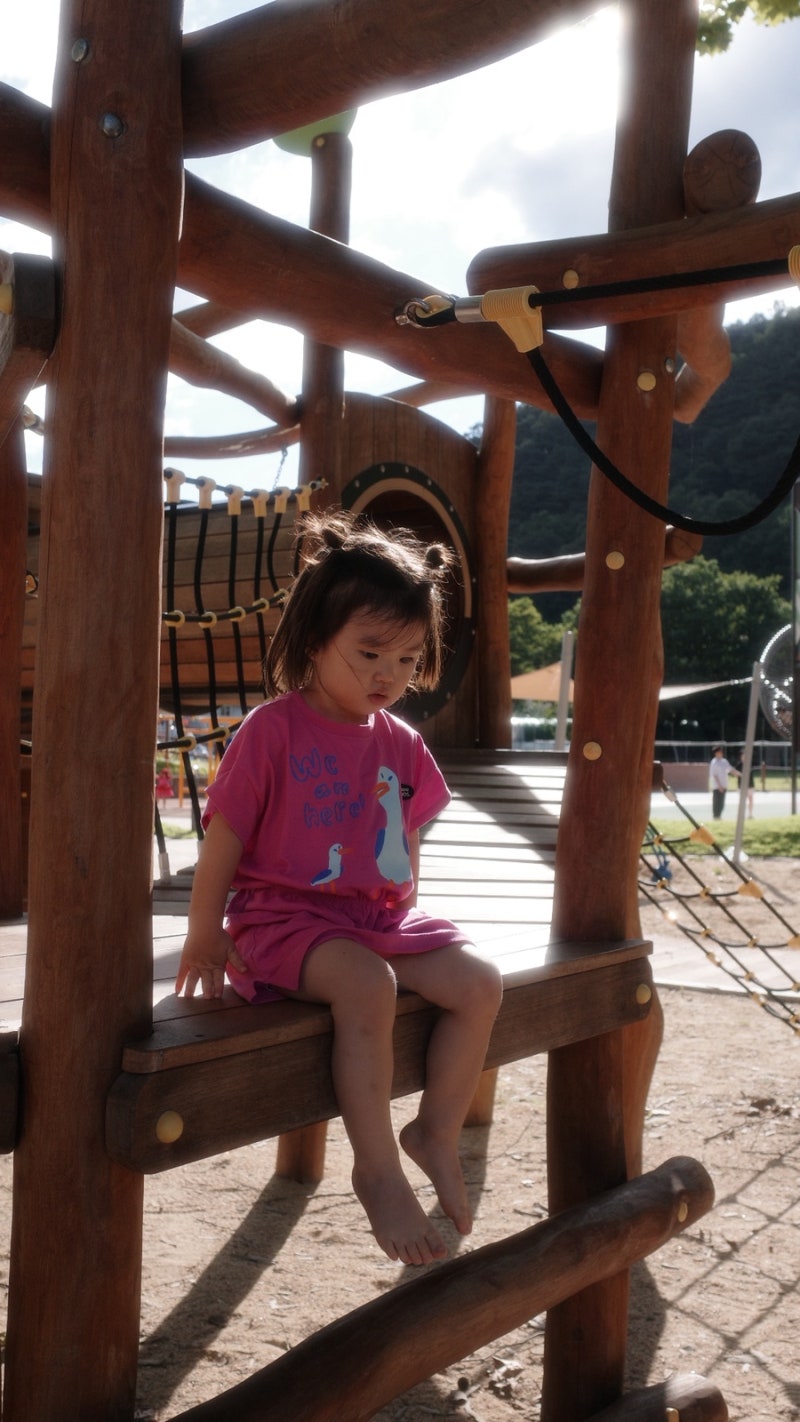 리코 GR4 HDF 추첨 당첨, 작례