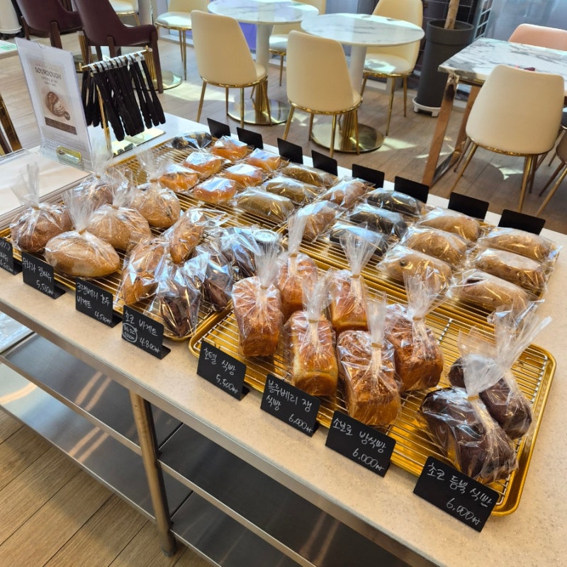 (세종) 집현동 맛집&카페_흥도식당, 세레니티 카페