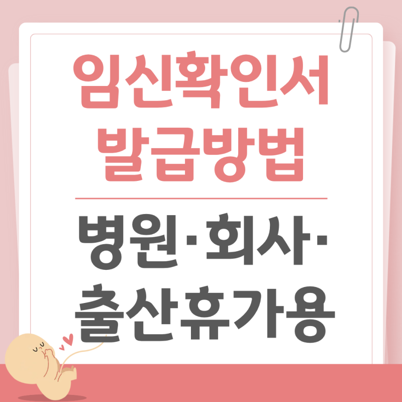 임신확인서 발급 방법 총정리 - 병원 발급·회사 제출·출산휴가용