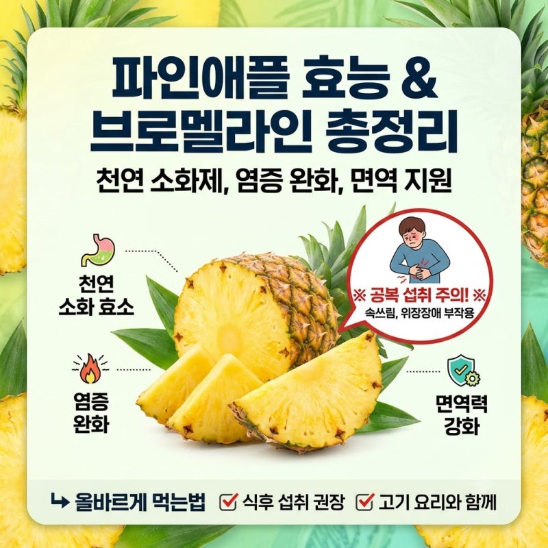파인애플 효능과 브로멜라인 성분, 공복 섭취 부작용 및 올바른 먹는법 총정리