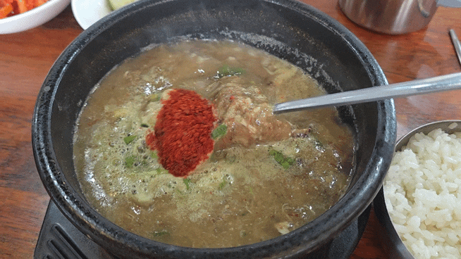 제주 금능식당 고사리 해장국 후기/제주 해장국 맛집