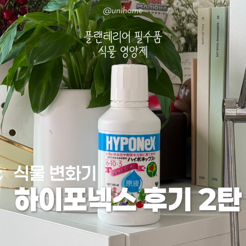 식물 영양제 하이포넥스 레이쇼 사용후기 2탄 ⎮ 멈추지 않는 폭풍성장