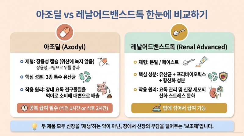 노령견 신부전 영양제 비교: 레날어드밴스드독 vs 아조딜 성분 차이와 급여 팁