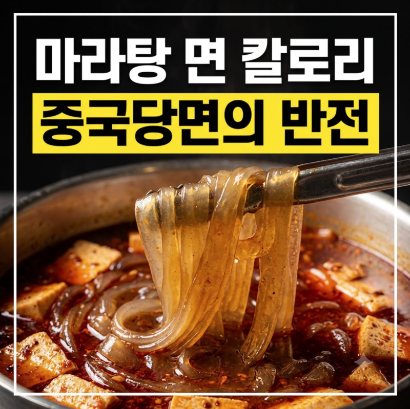 마라탕 면 종류별 칼로리 비교: 중국당면부터 뉴진면까지 완벽 정리