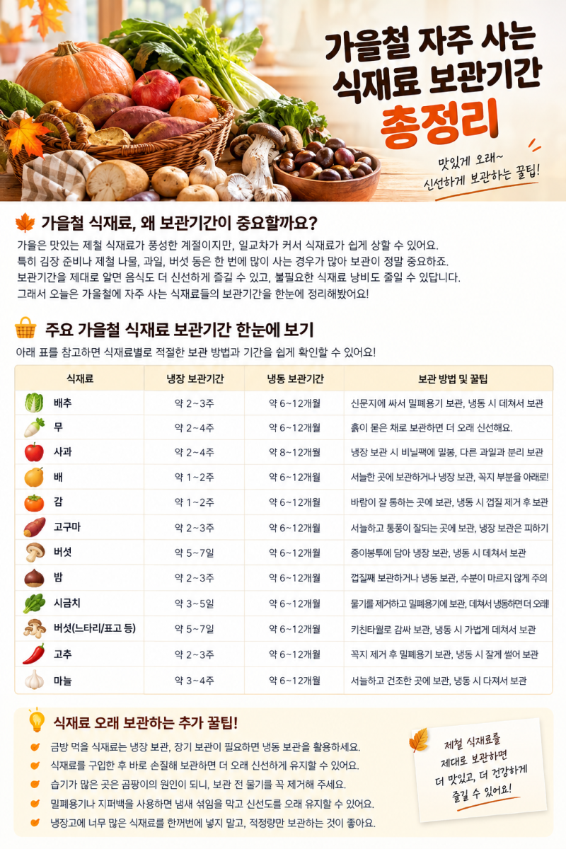 가을철 식재료 보관기간 총정리! 사과·배·고구마·버섯 오래 보관하는 법!! 놓치지마세요~