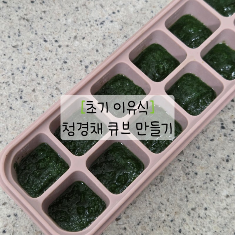 초기이유식 청경채 큐브 만들기|토핑이유식 입자감 실리콘 찜기 사용