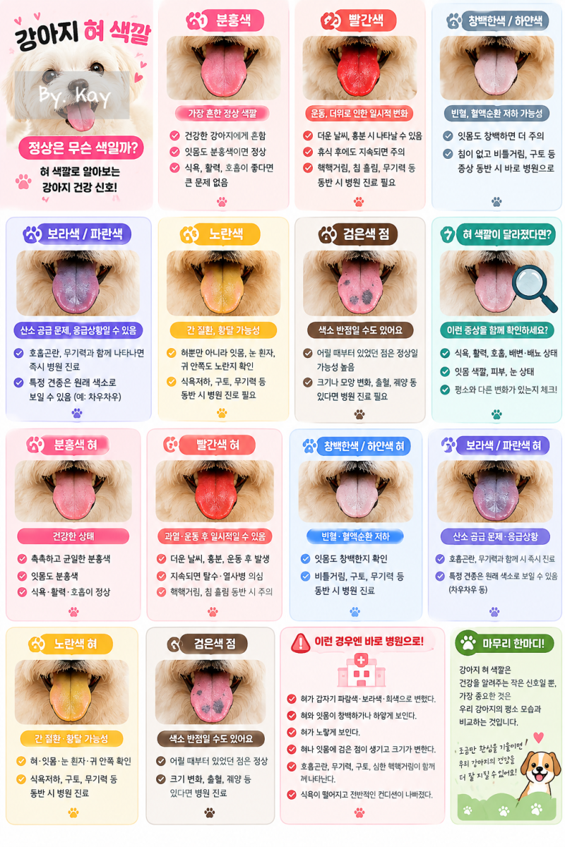 강아지 혀 색깔 정상은 무슨 색? 분홍·파란색·보라색·노란색 건강 신호