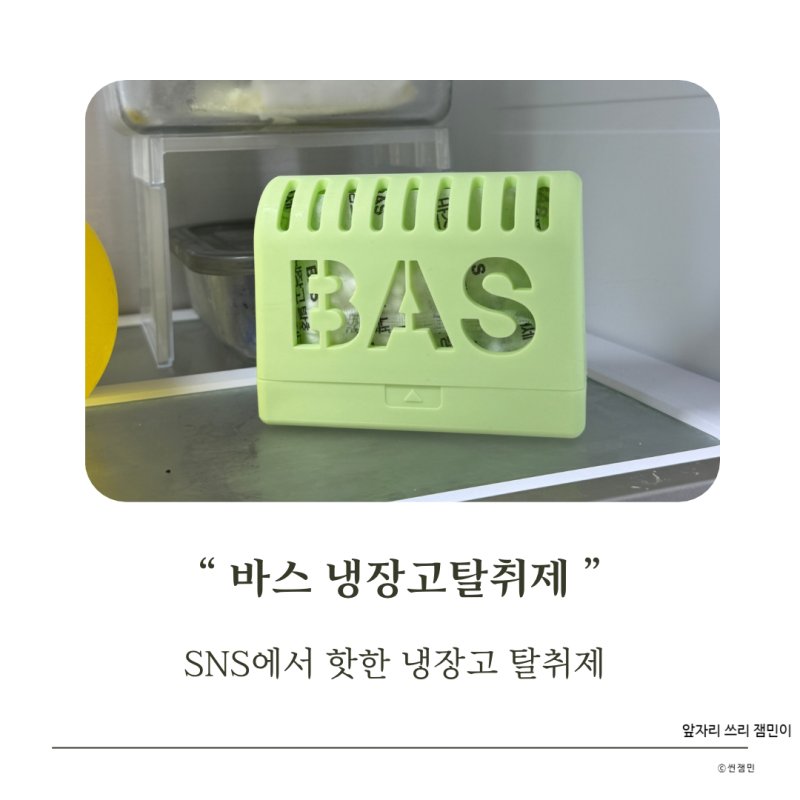 내돈내산 BAS 바스 냉장고탈취제 본품+리필 후기