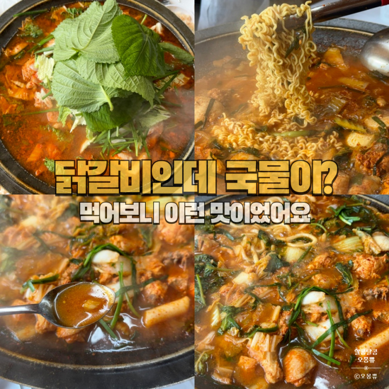 태백 맛집 태백닭갈비｜부모님과 처음 먹어본 물닭갈비 솔직후기