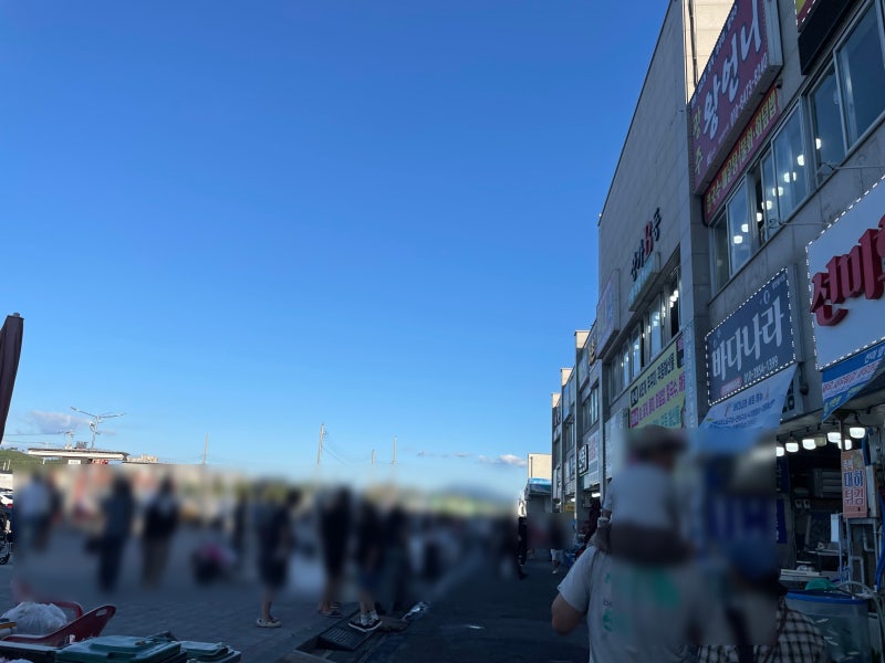 2026 홍성 대하축제 후기｜남당항 대하 가격부터 포장까지