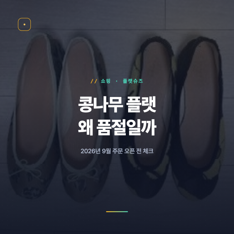 콩나무 플랫 왜 품절일까, 9월 주문 오픈 정리